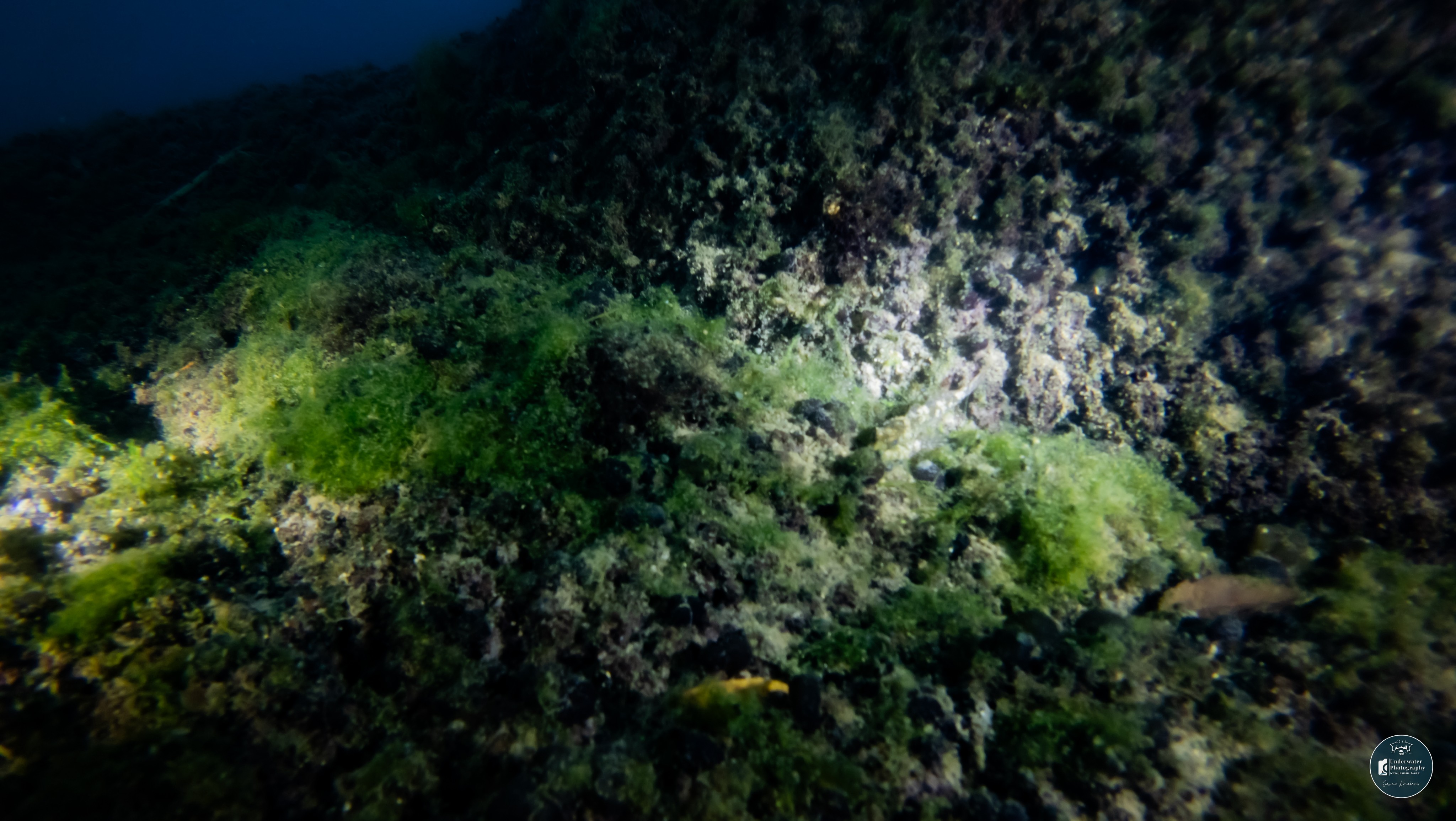 DJI 20250927161038 0117 D 001