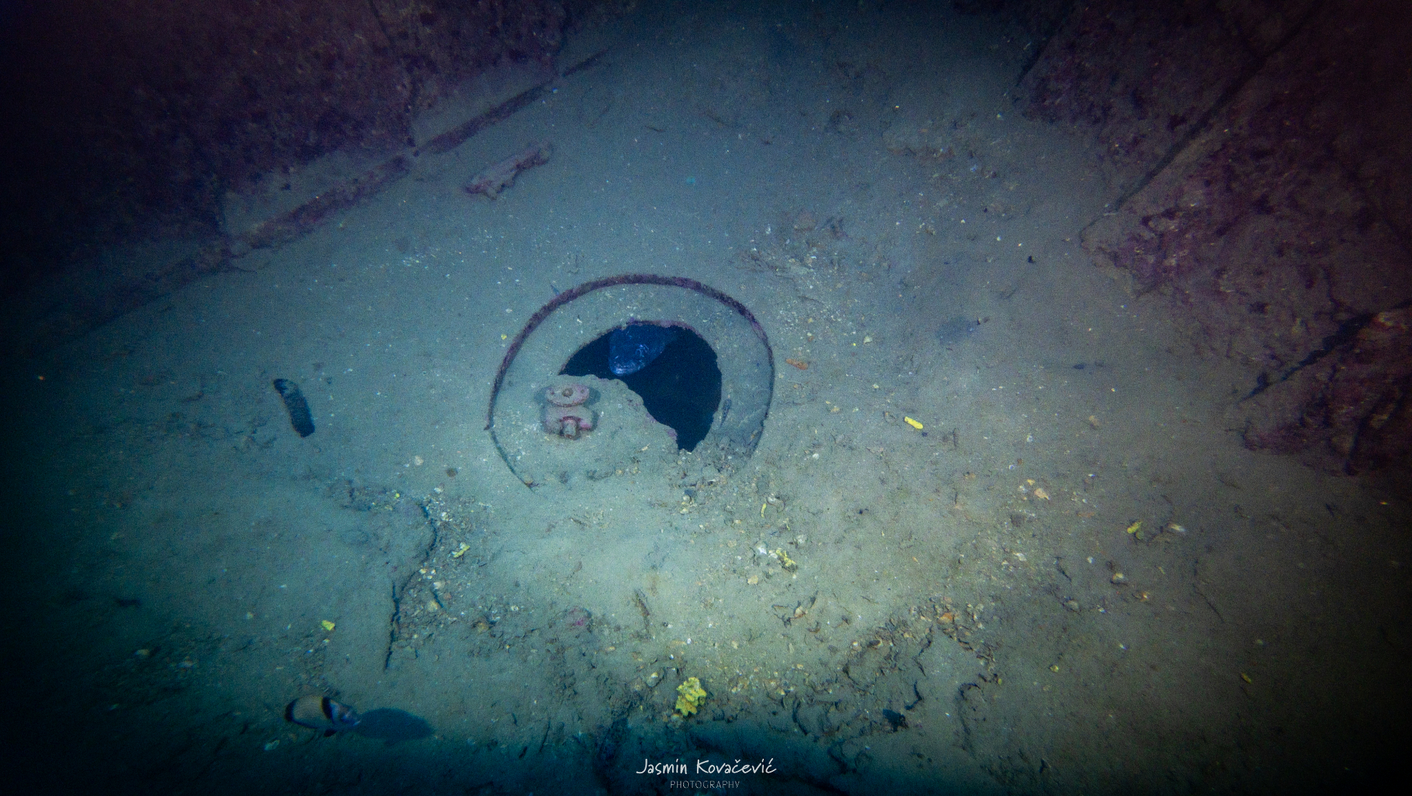 DJI 20250620111548 0137 D 001