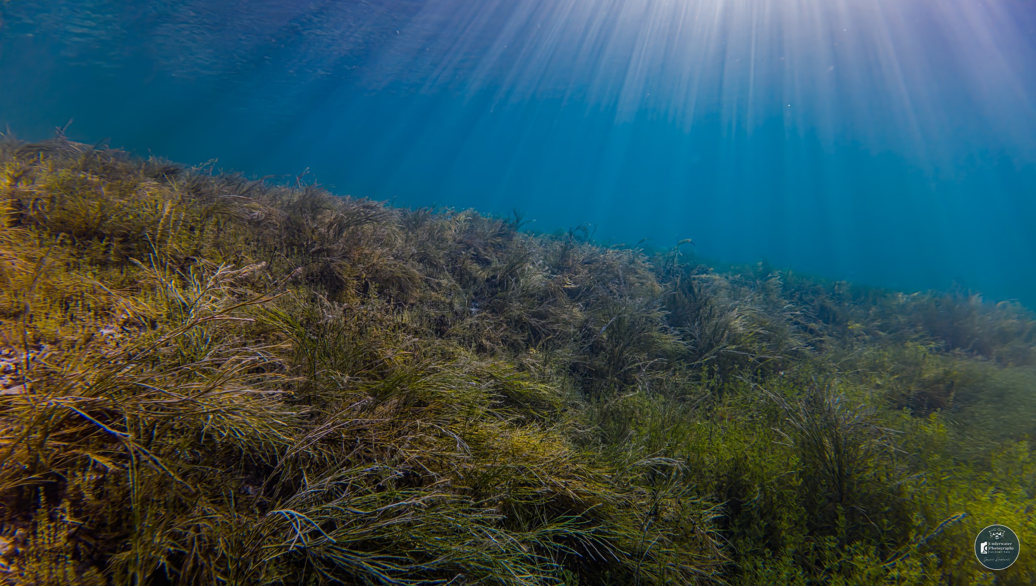 DJI 20251228123536 0056 D JUS1