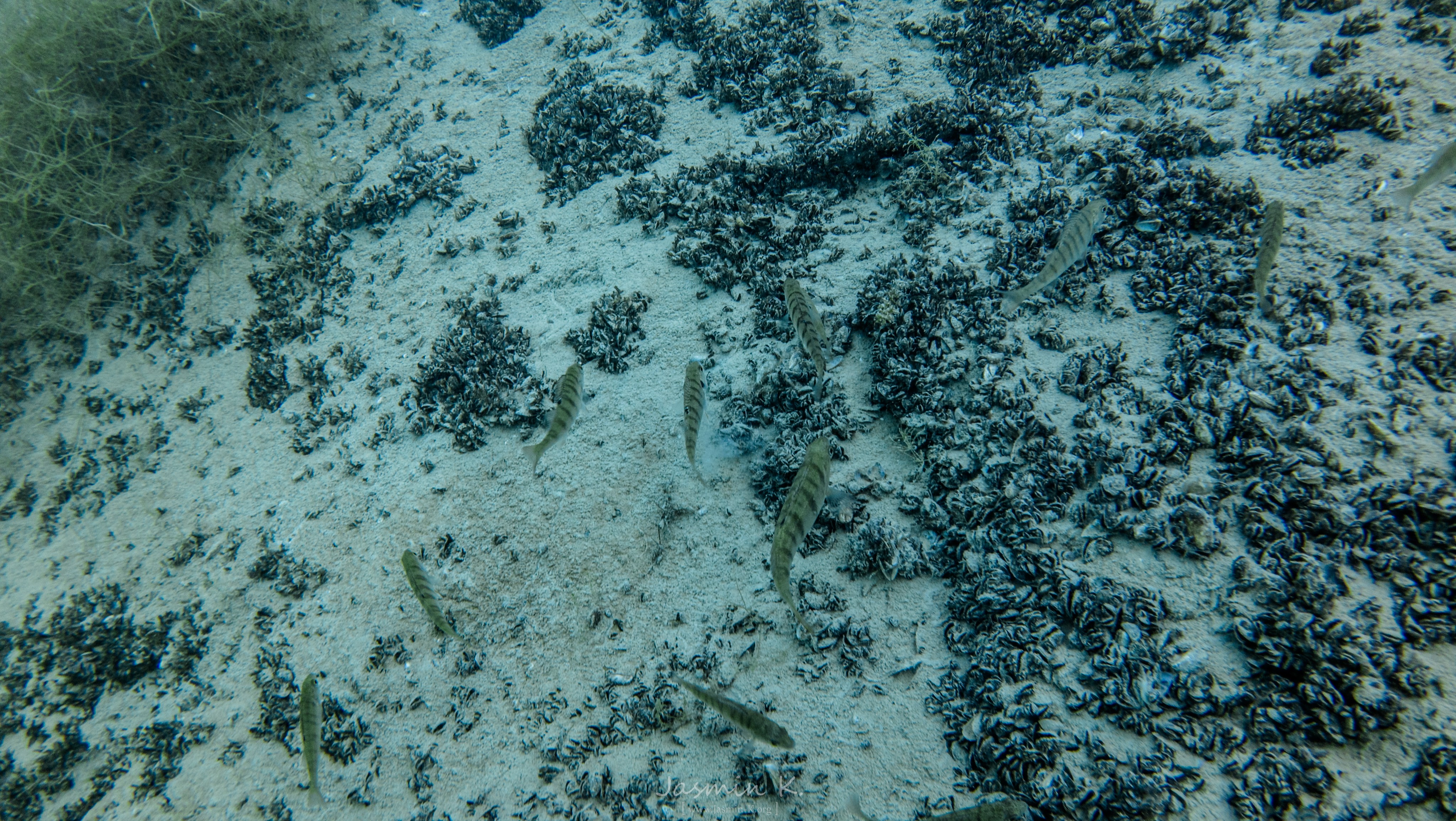 DJI 20250815114212 0283 D 001