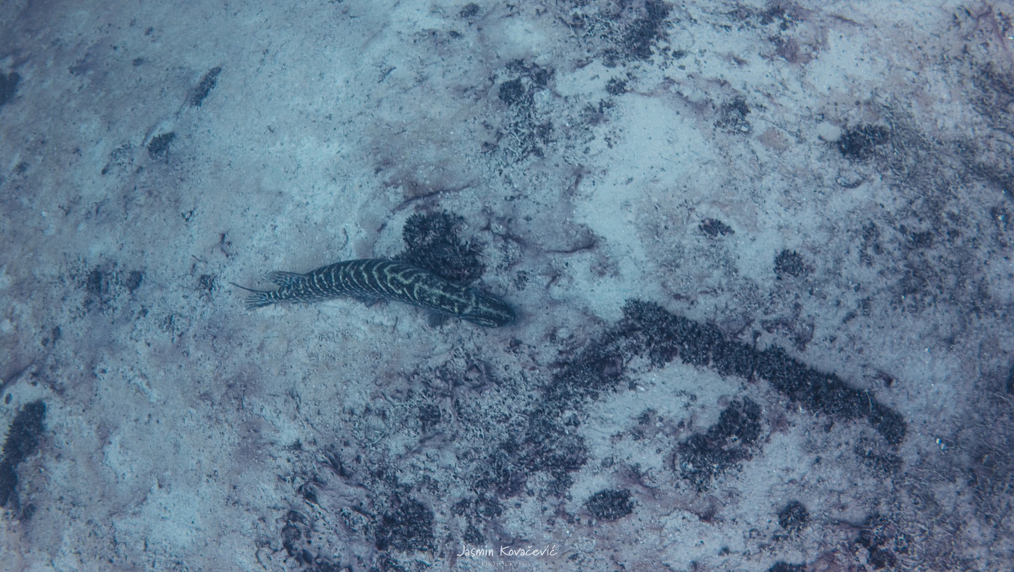 DJI 20250615150335 0261 D 002