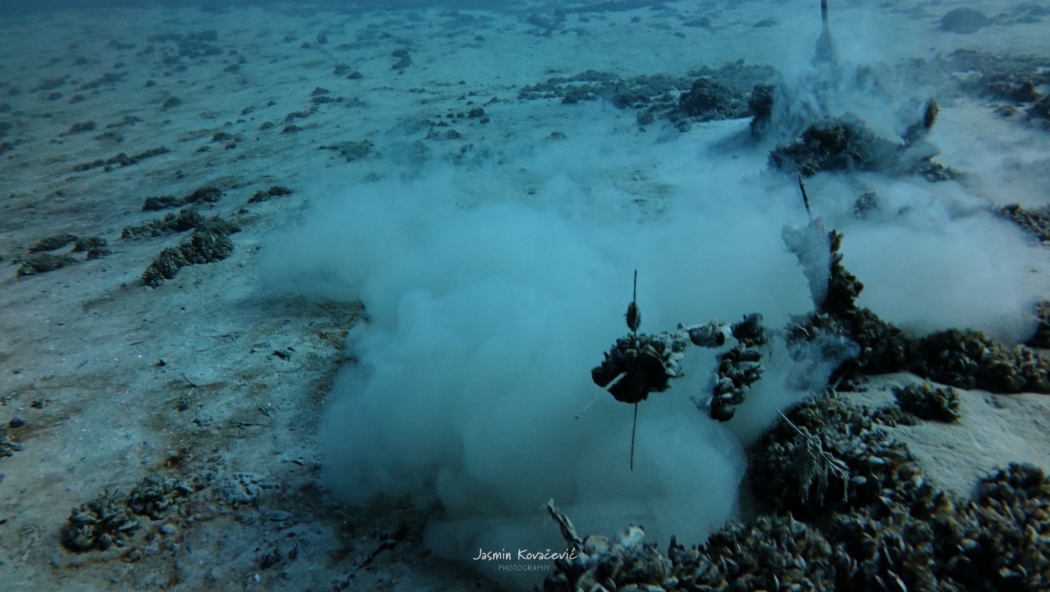 DJI 20250208131306 0036 D 001