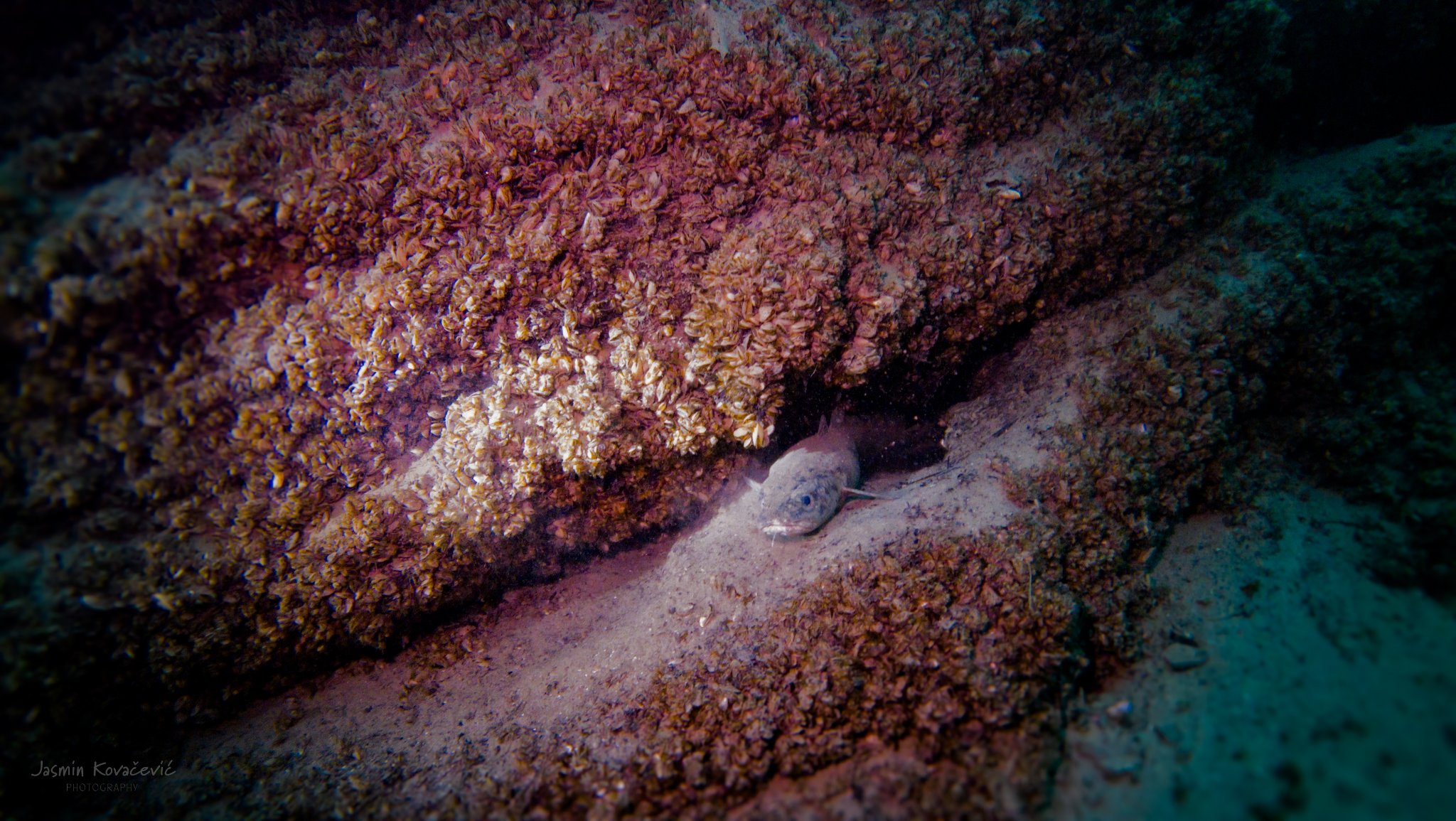 DJI 20241214131431 0118 D 002